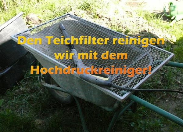 wann-teichfilter-reinigen