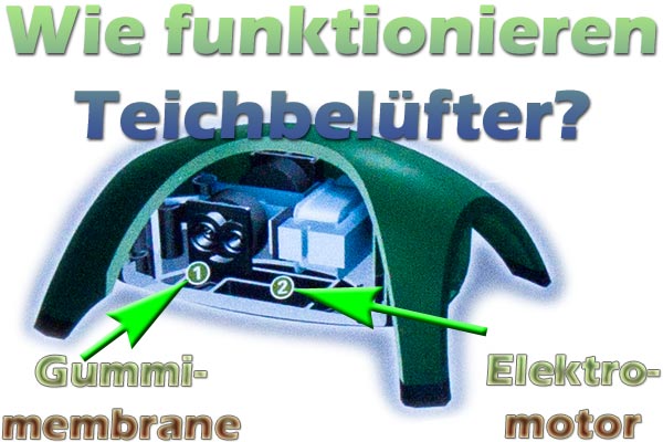 wie-funktionieren-teichbeluefter