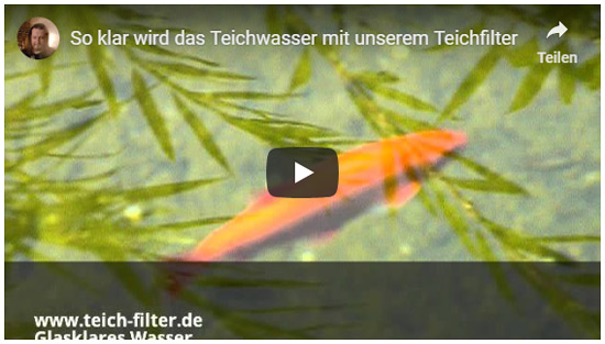 video-glasklares-wasser-teich-1