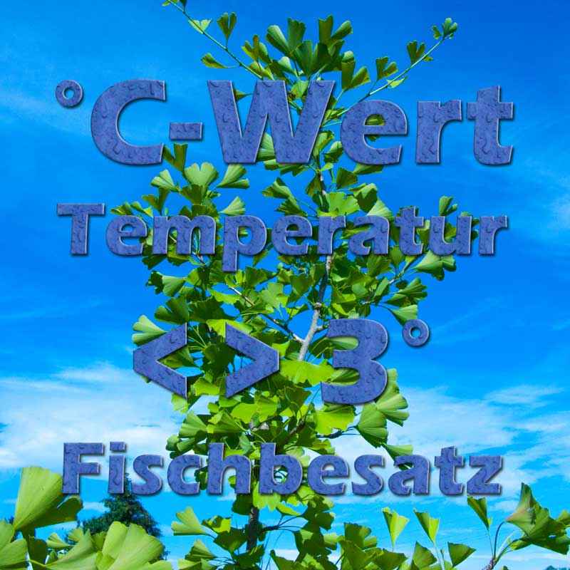 Temperatur im Teich im Winter und bei Fischbesatz Teichfilter