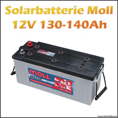 Günstige 12V Solarbatterie mit 130-140Ah Kapazität von Moll für Solar Inselanlagen im Gartenhaus