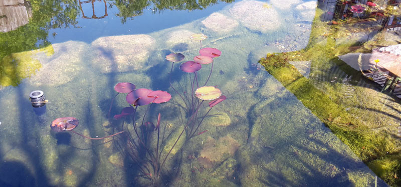 teichfilter-test-mit-schwerkraft-ohne-druckfilter-erfahrungen-bewertungen-3