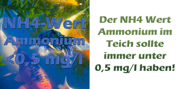 ammonium-nh4-im-teich-grenzwerte