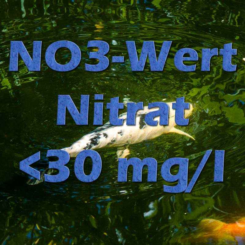 Nitrat NO3 im Teich Teichfilter