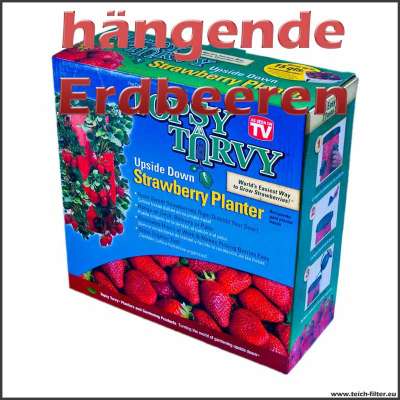 Pflanzampel für hängende Erdbeeren und Tomaten