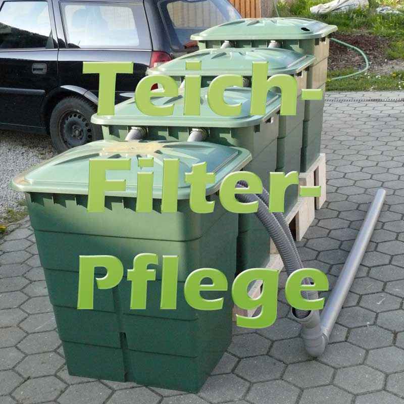Teichfilter reinigen und pflegen mit Anleitung Teichfilter