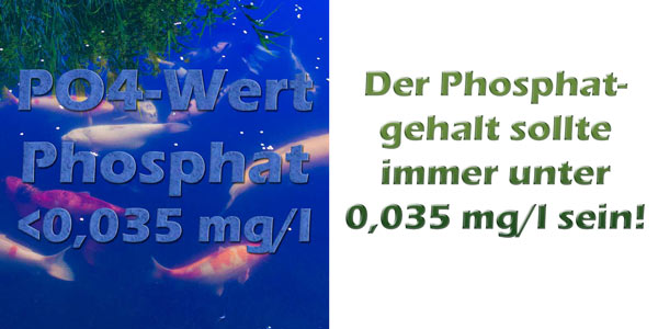 phosphat-im-teich-po4-grenzwert