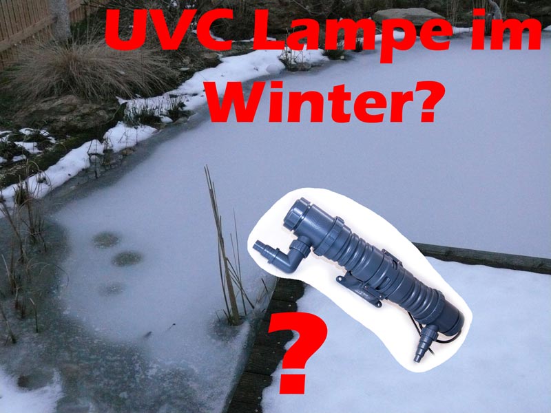 uvc-lampe-im-winter