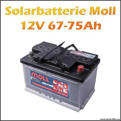 67-75Ah Solarbatterie von Moll für Photovoltaik