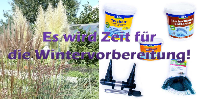 teich-winterfest-machen-herbst