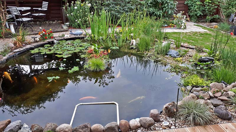 Erfahrungen mit Teichfilteranlage aus 3 Regentonnen am 12000l Koiteich