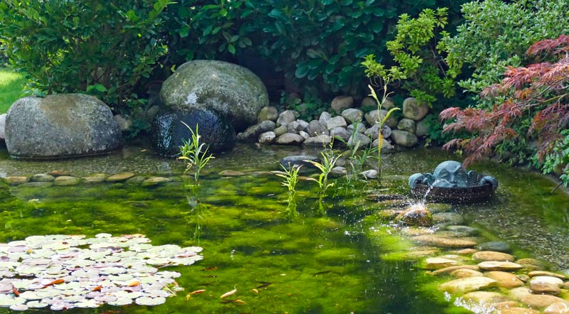 Meine Erfahrung mit dem Teichfilter am Gartenteich Teichfilter