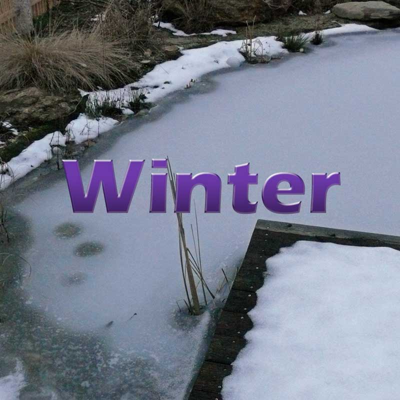 Teich im Winter winterfest machen Teichfilter