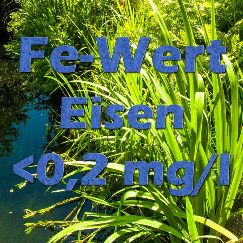 Der FeWert Eisen im Teich für Pflanzen Teichfilter