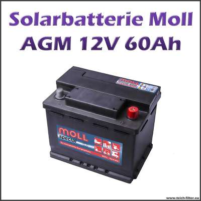 AGM Solarbatterie Moll 12V mit 60-65Ah Kapazität für Gartenhaus und Wohnmobil