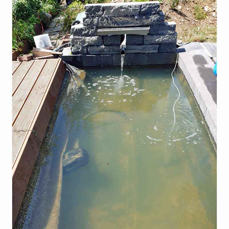 Solar Teichfilter Erfahrung am 2000 Liter Teich mit Kammmolch und