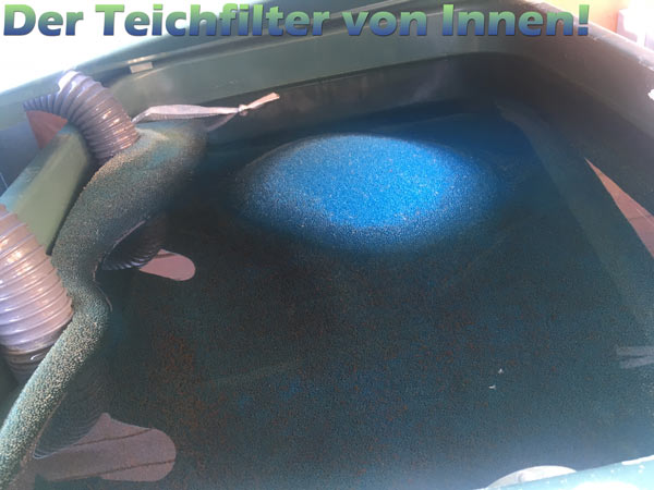 teichfilter-erfahrungen-schwimmteich-1