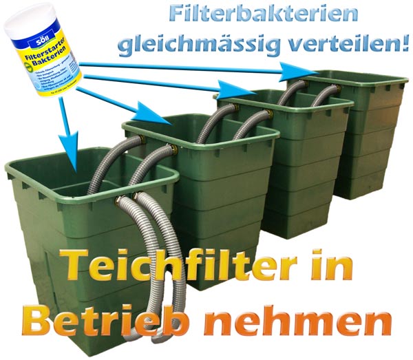 wie-teichfilter-in-betrieb-nehmen