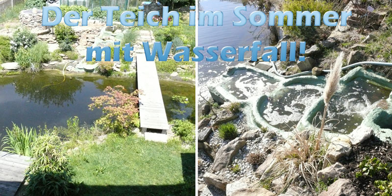 teich-im-sommer-mit-wasserfall