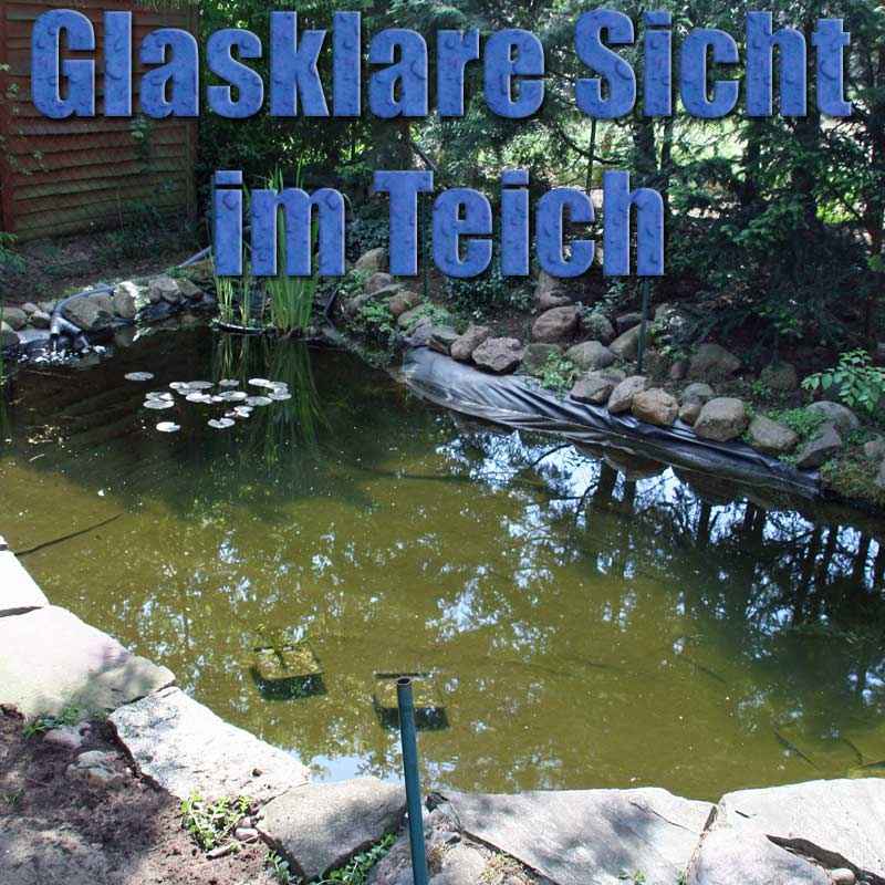 Erfahrungen mit dem Teichfilter von www.teichfilter.eu für 15000 Liter