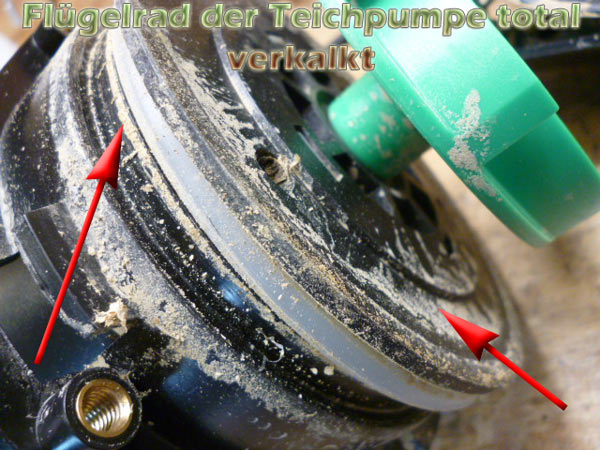 Teichpumpen wie und wann richtig reinigen und entkalken? Teichfilter