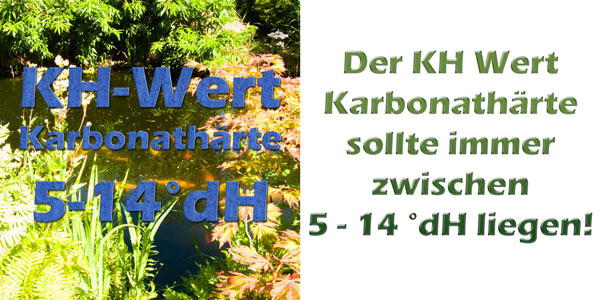 Der KHWert als Karbonathärte im Teich Teichfilter