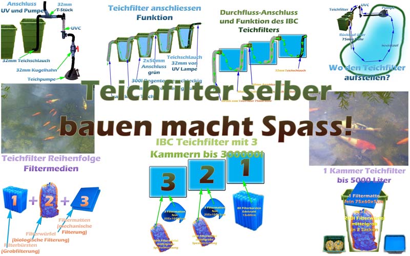 Teichfilter im Shop günstig kaufen (für Koi, Schwimm und Gartenteich