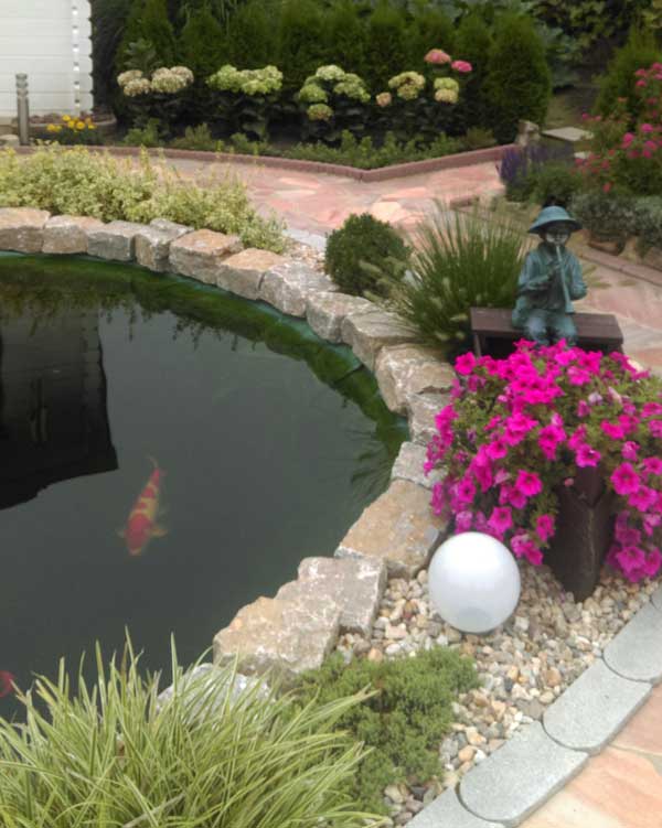 teichfilter-test-erfahrung-kaufen-kunde-50000l-8